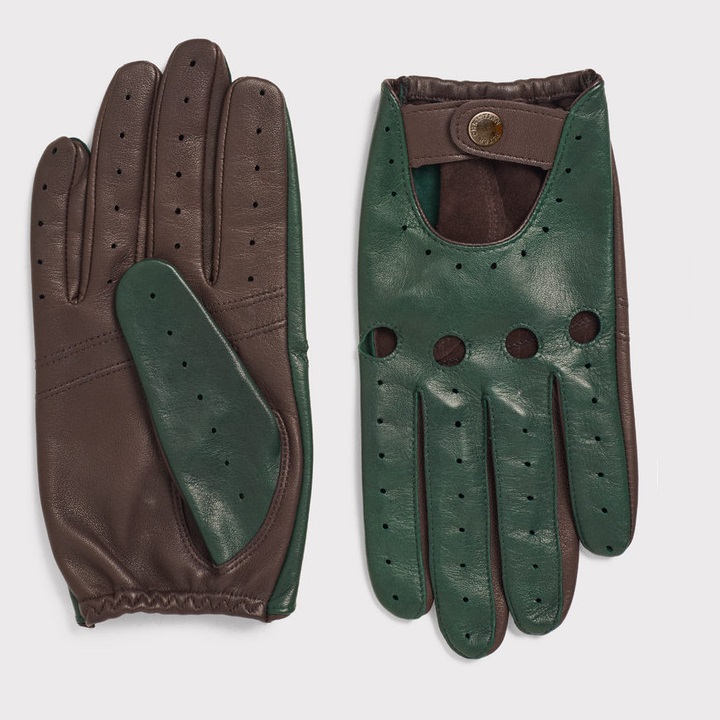 Driving Gloves Image