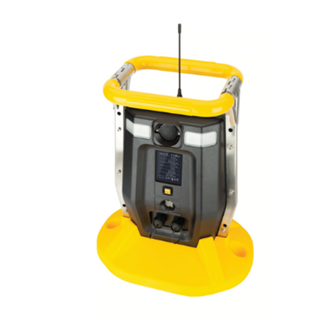 Gas Monitors & Detection